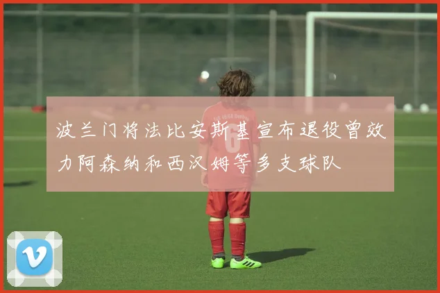 波兰门将法比安斯基宣布退役曾效力阿森纳和西汉姆等多支球队